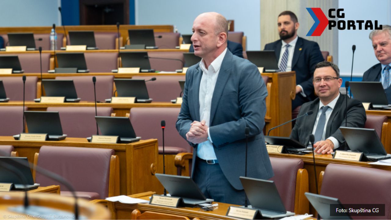 Predsjednik DNP Milan Knežević